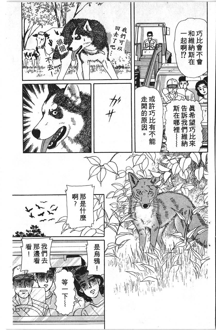 爱心动物医生韩漫全集-第12卷无删减无遮挡章节图片 