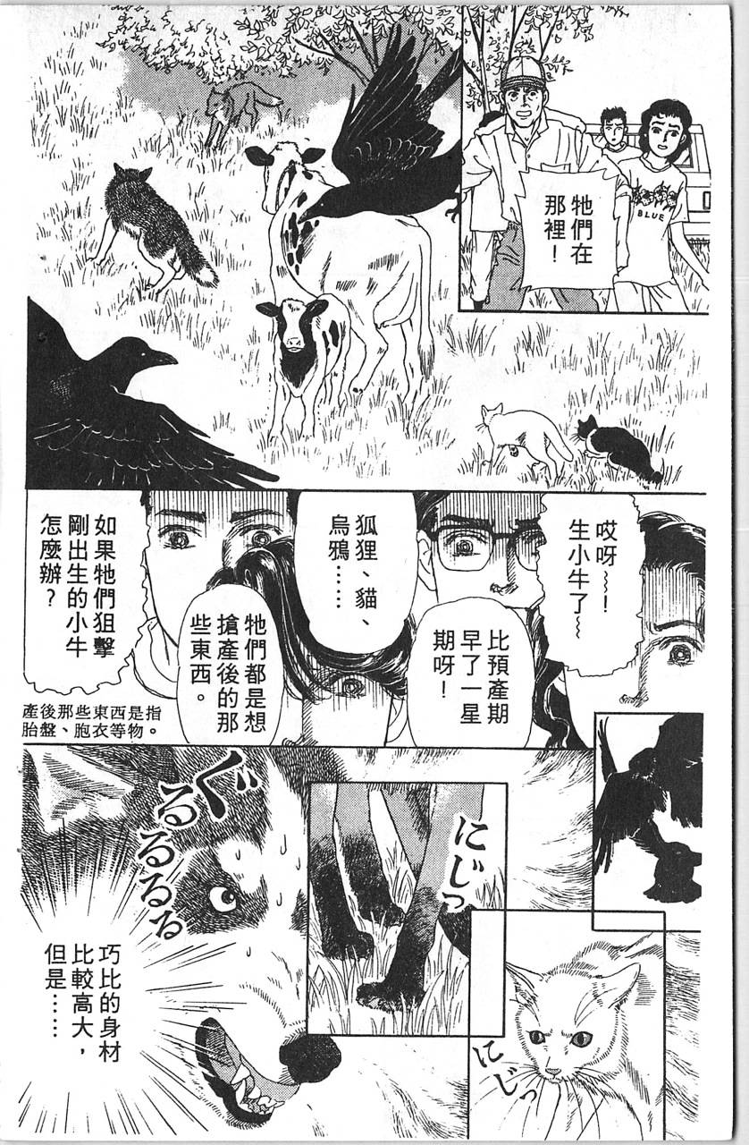 爱心动物医生韩漫全集-第12卷无删减无遮挡章节图片 