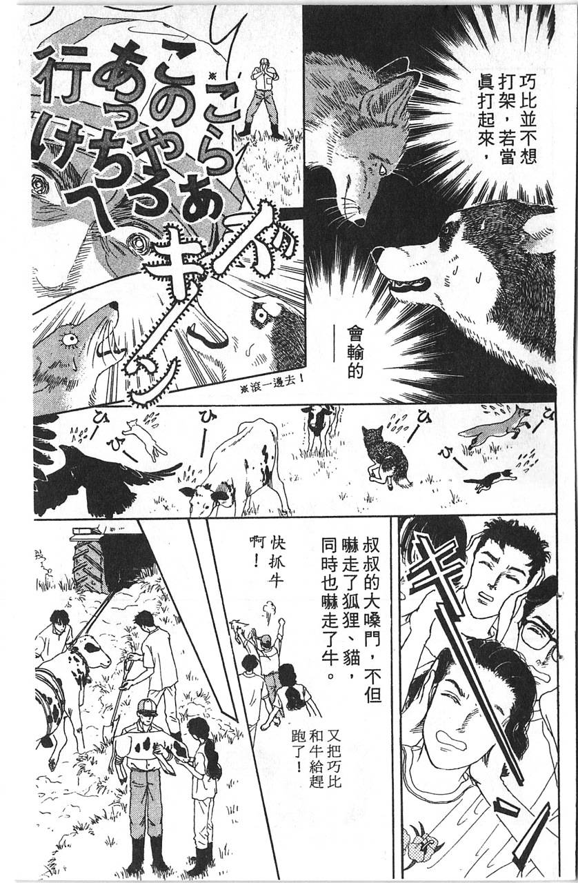 爱心动物医生韩漫全集-第12卷无删减无遮挡章节图片 