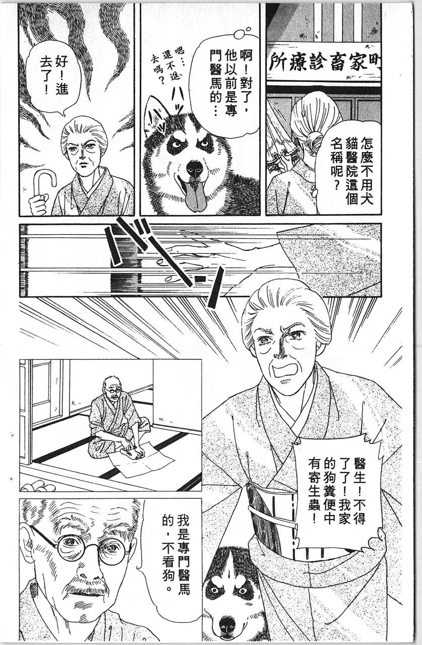 爱心动物医生韩漫全集-第12卷无删减无遮挡章节图片 