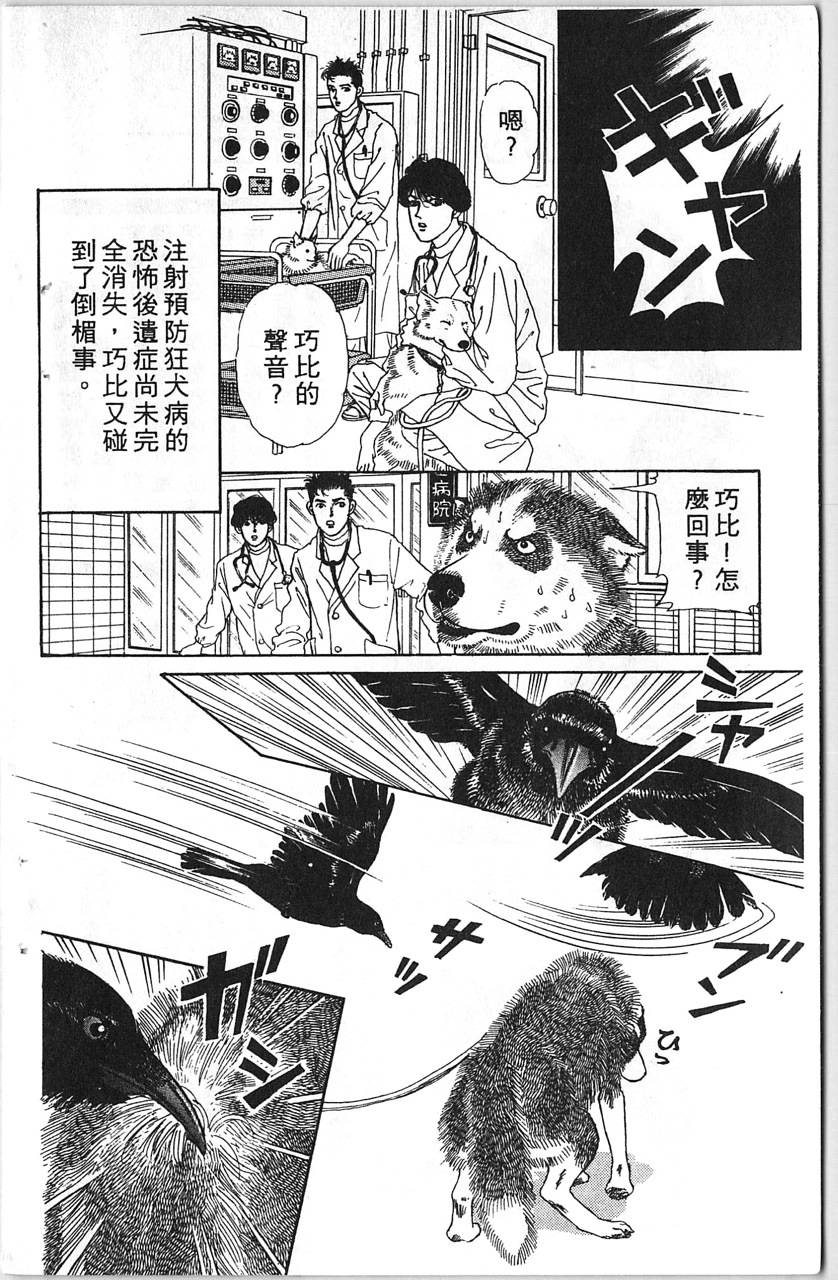 爱心动物医生韩漫全集-第12卷无删减无遮挡章节图片 