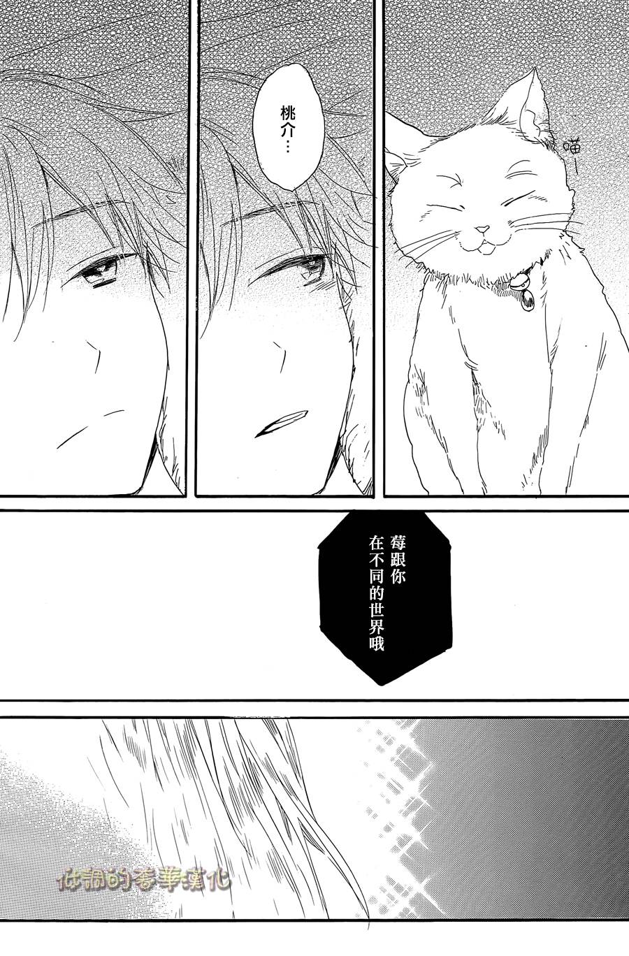 星屑水果糖韩漫全集-第06话无删减无遮挡章节图片 