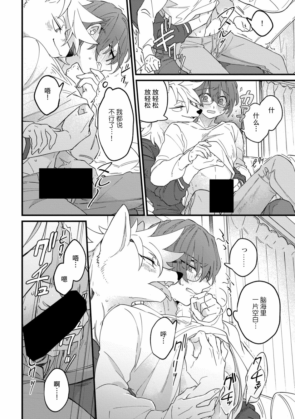 优质毛绒 优质兽人掉落记韩漫全集-第02话无删减无遮挡章节图片 
