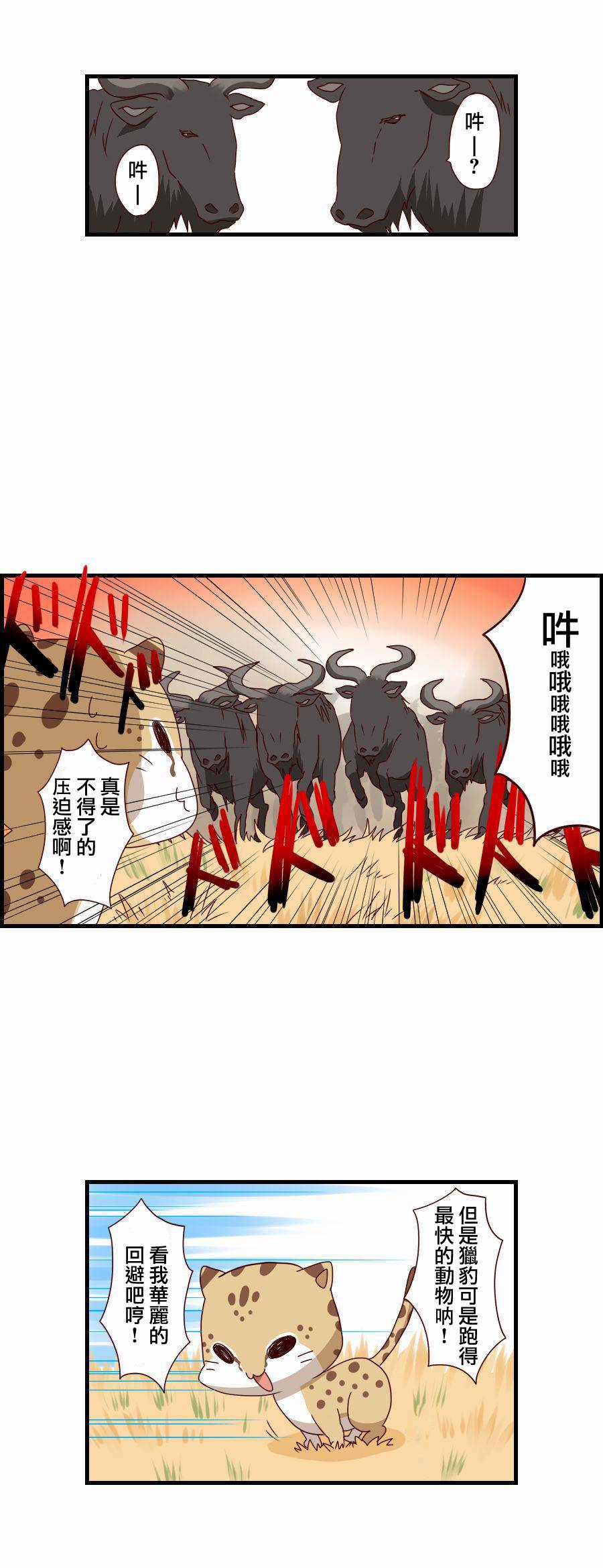 百兽之王鬃毛喵喵韩漫全集-第02话无删减无遮挡章节图片 