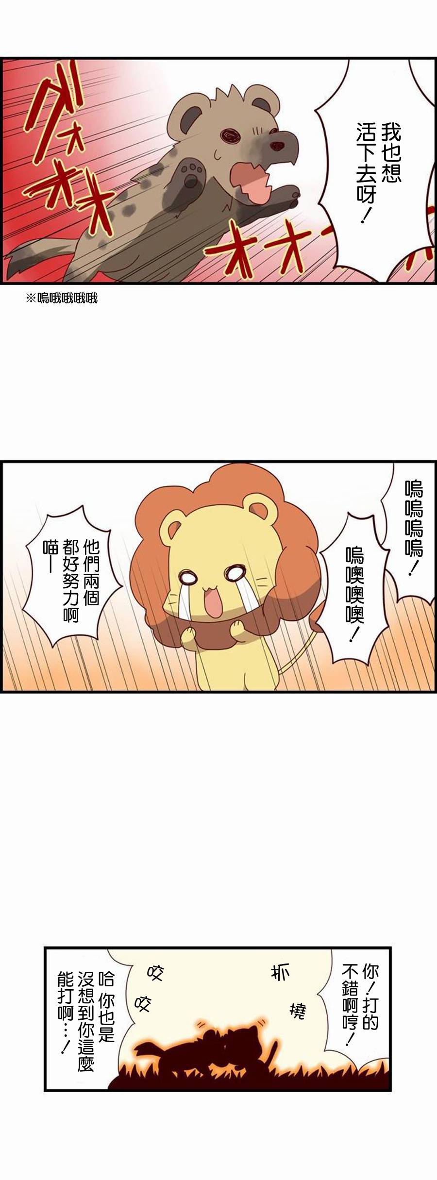 百兽之王鬃毛喵喵韩漫全集-第03话无删减无遮挡章节图片 