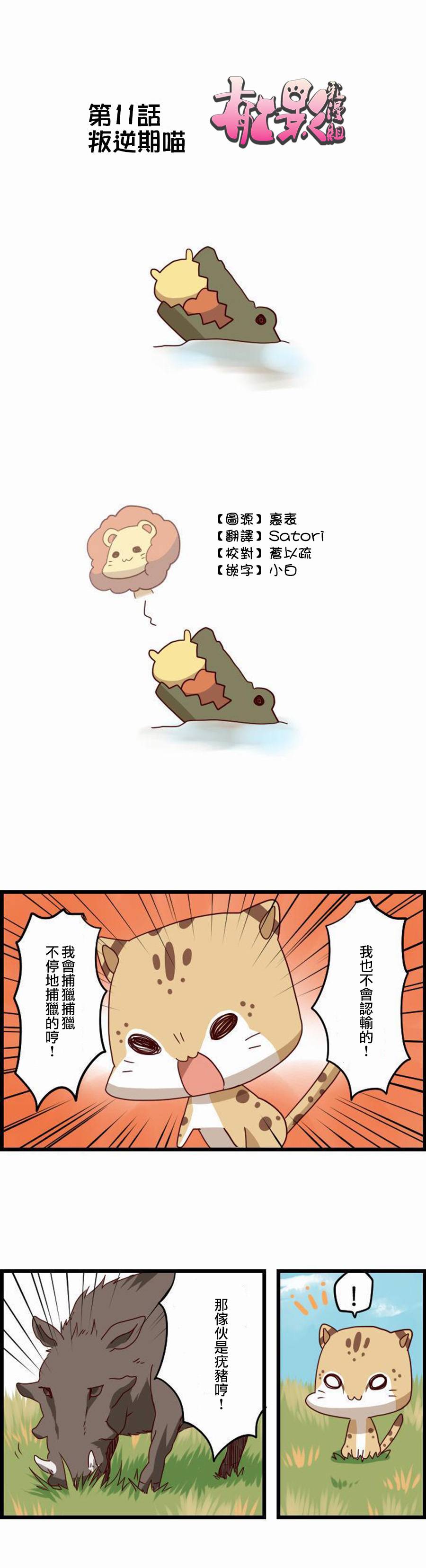 百兽之王鬃毛喵喵韩漫全集-第11话无删减无遮挡章节图片 