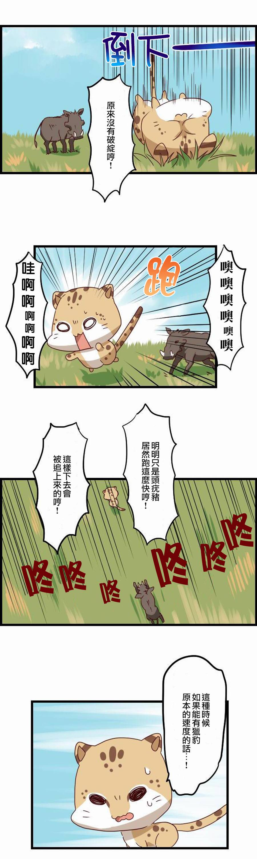 百兽之王鬃毛喵喵韩漫全集-第11话无删减无遮挡章节图片 