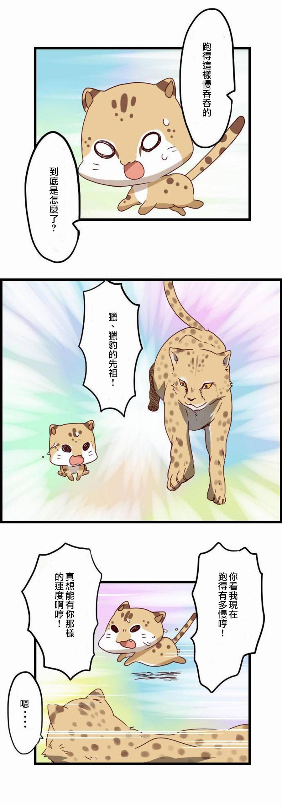 百兽之王鬃毛喵喵韩漫全集-第11话无删减无遮挡章节图片 