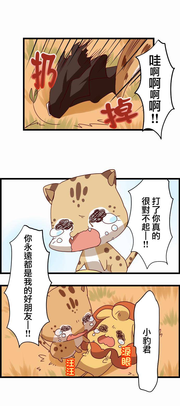百兽之王鬃毛喵喵韩漫全集-第12话无删减无遮挡章节图片 