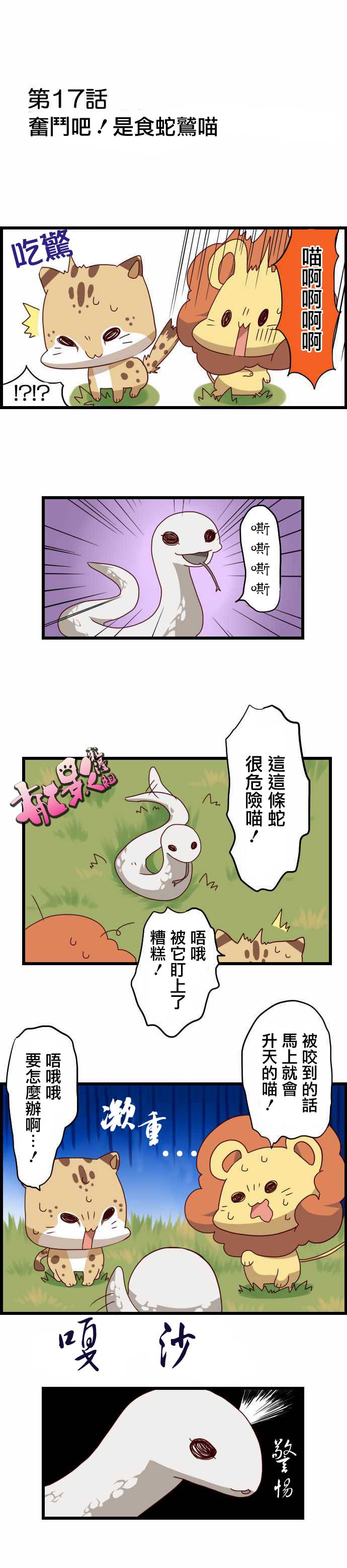 百兽之王鬃毛喵喵韩漫全集-第17话无删减无遮挡章节图片 
