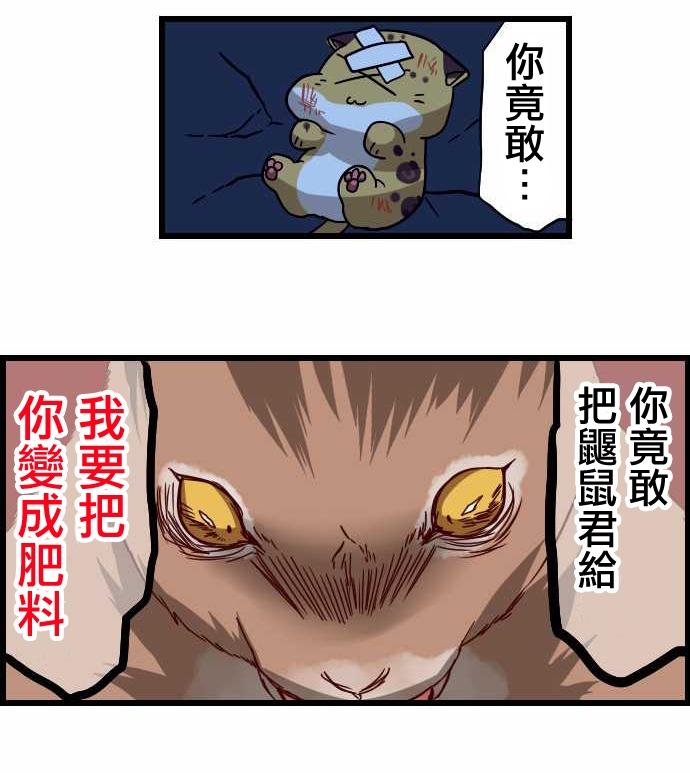 百兽之王鬃毛喵喵韩漫全集-第21话无删减无遮挡章节图片 