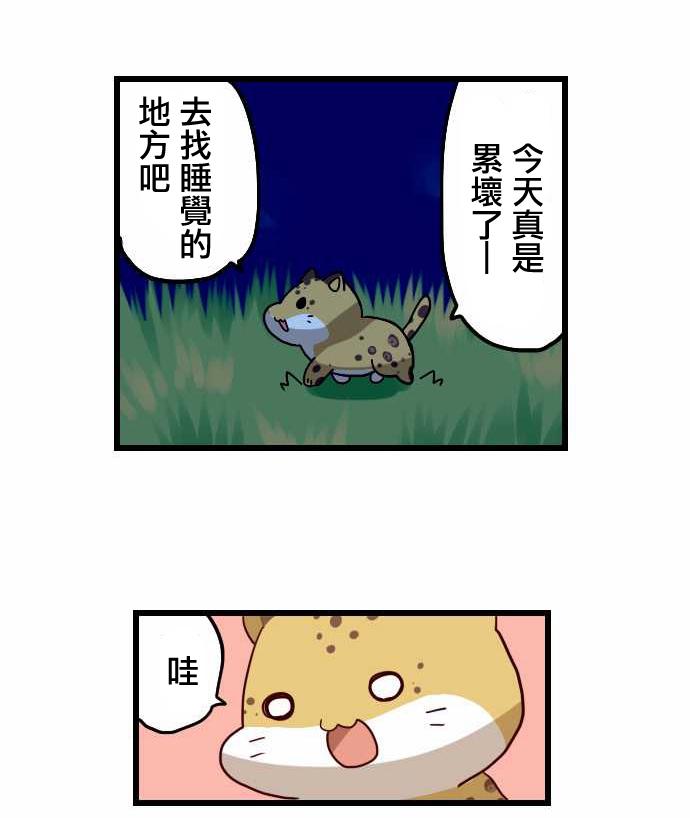 百兽之王鬃毛喵喵韩漫全集-第21话无删减无遮挡章节图片 