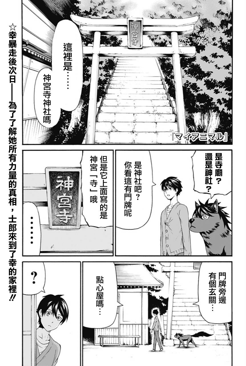 My Animal韩漫全集-第11话无删减无遮挡章节图片 