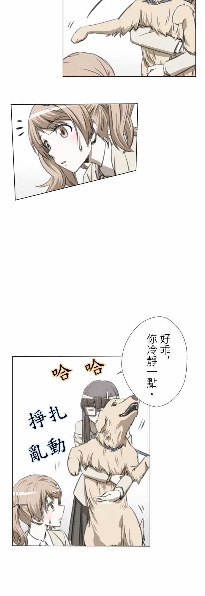 赤松佳乃的恋爱复杂事韩漫全集-第10话无删减无遮挡章节图片 