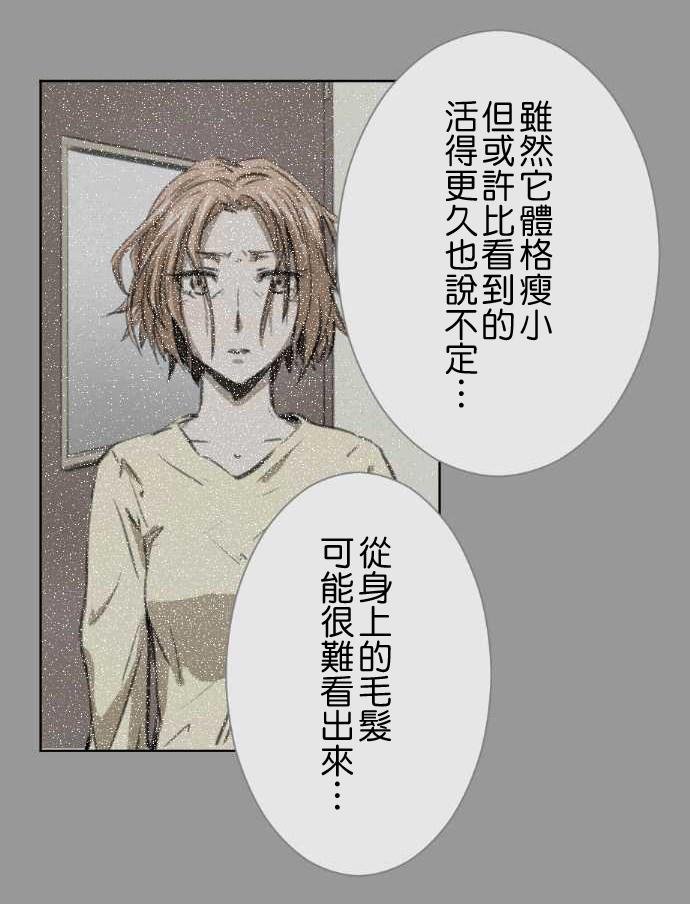 赤松佳乃的恋爱复杂事韩漫全集-第40话无删减无遮挡章节图片 