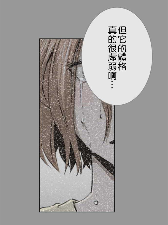 赤松佳乃的恋爱复杂事韩漫全集-第40话无删减无遮挡章节图片 