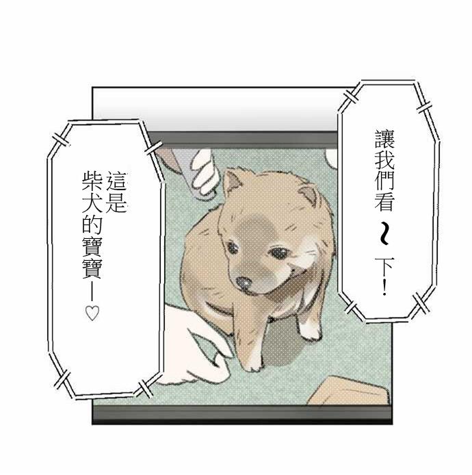 赤松佳乃的恋爱复杂事韩漫全集-第41话无删减无遮挡章节图片 