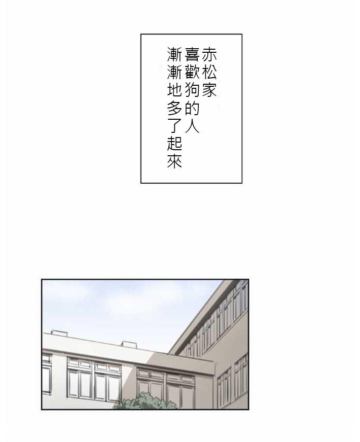 赤松佳乃的恋爱复杂事韩漫全集-第41话无删减无遮挡章节图片 