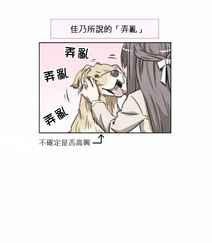 赤松佳乃的恋爱复杂事韩漫全集-第41话无删减无遮挡章节图片 