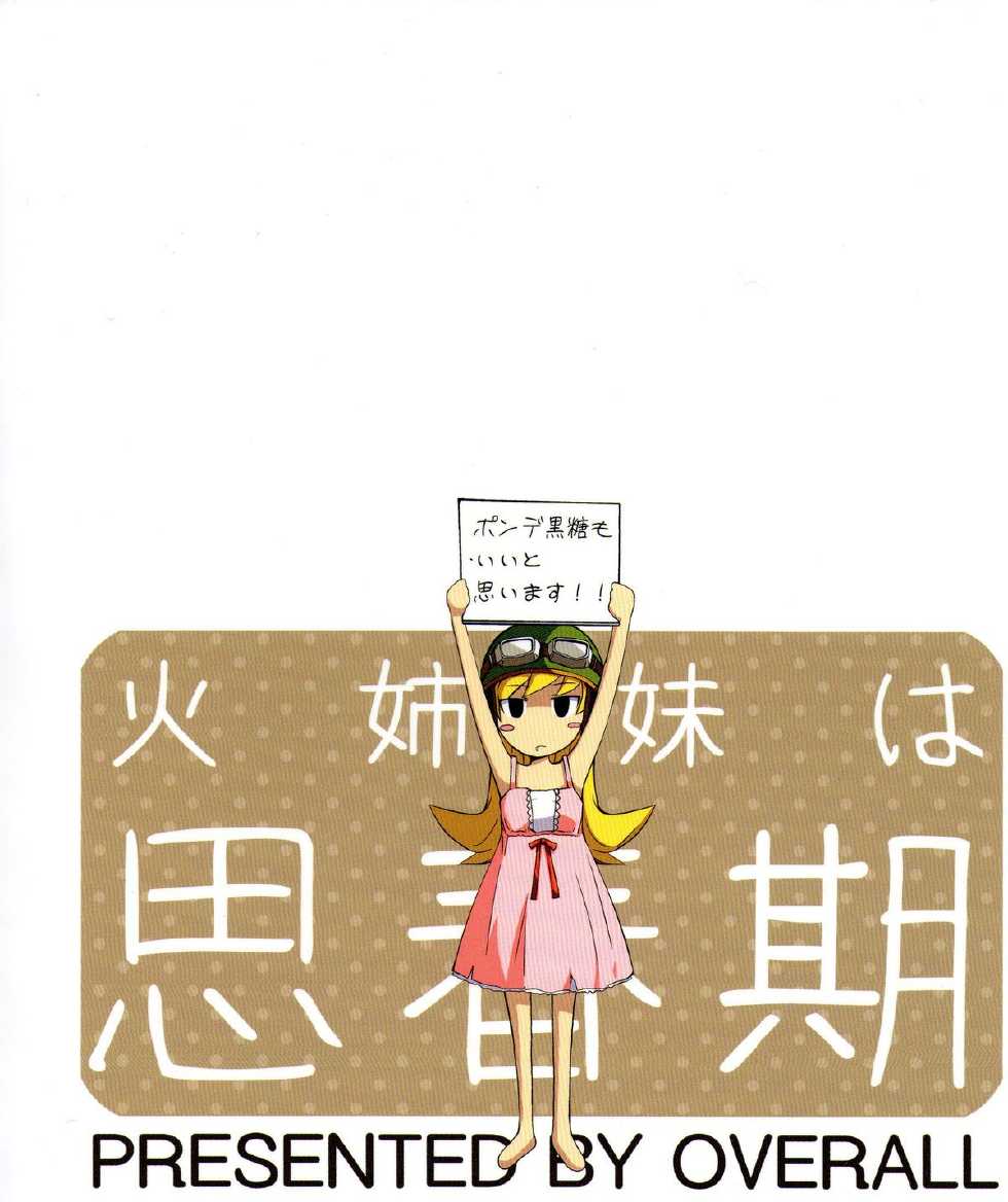 火焰姐妹的青春期韩漫全集-短篇无删减无遮挡章节图片 
