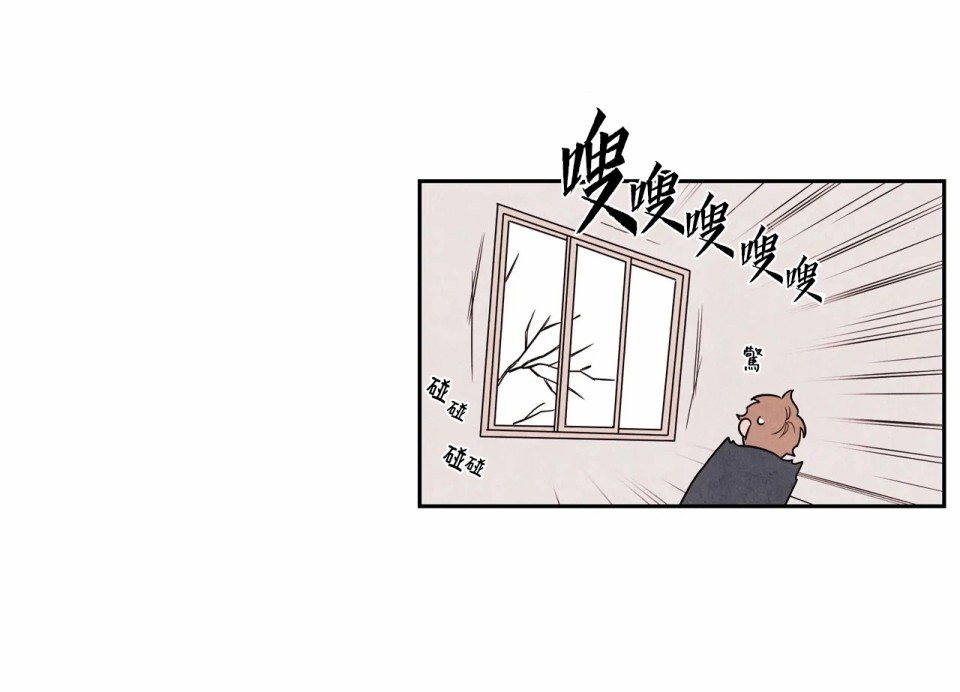 1加1是韩漫全集-第01话无删减无遮挡章节图片 