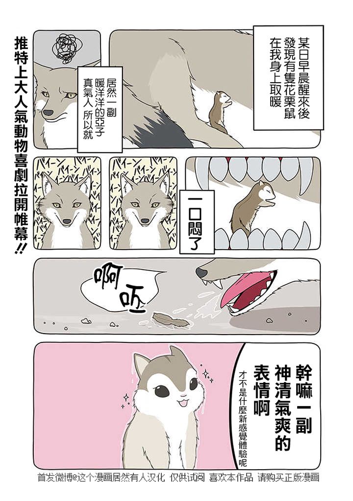 某日的郊狼和花栗鼠韩漫全集-第01话无删减无遮挡章节图片 