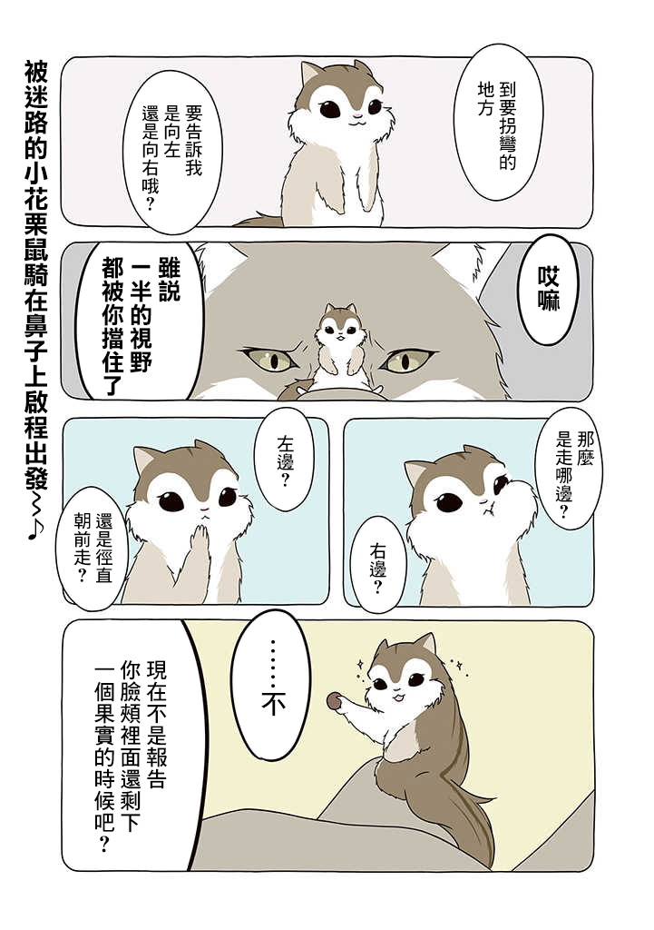某日的郊狼和花栗鼠韩漫全集-第02话无删减无遮挡章节图片 