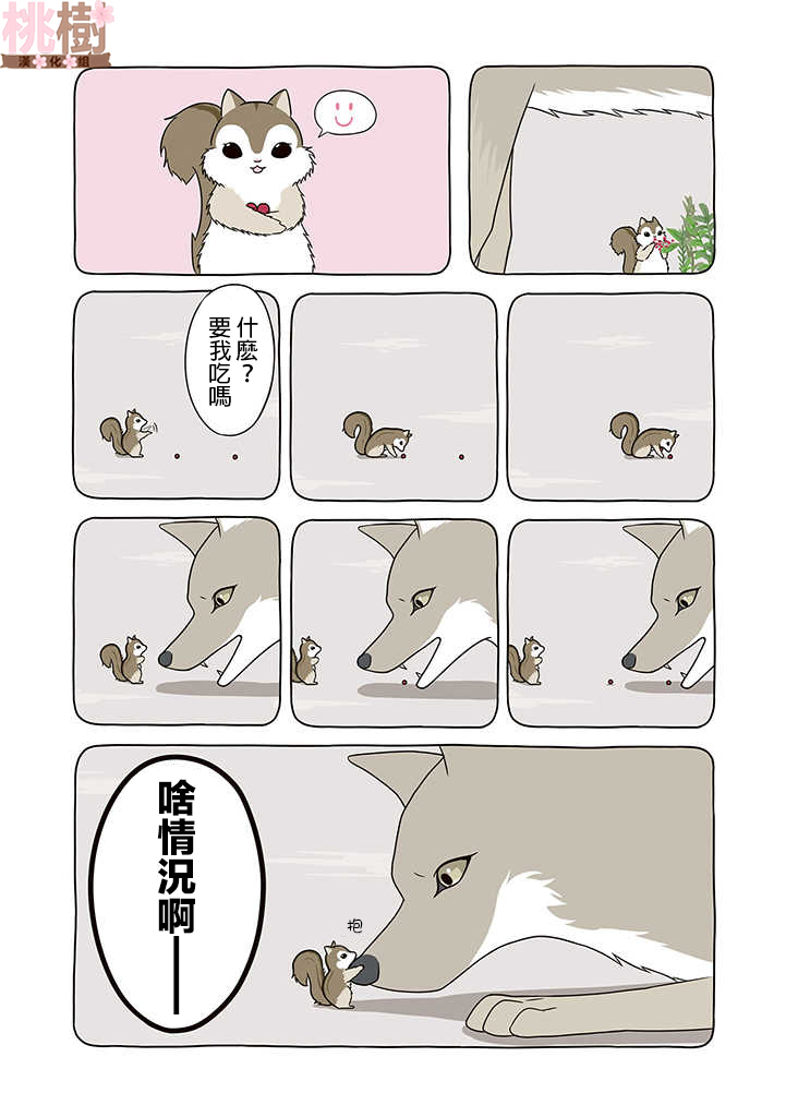某日的郊狼和花栗鼠韩漫全集-第07话无删减无遮挡章节图片 