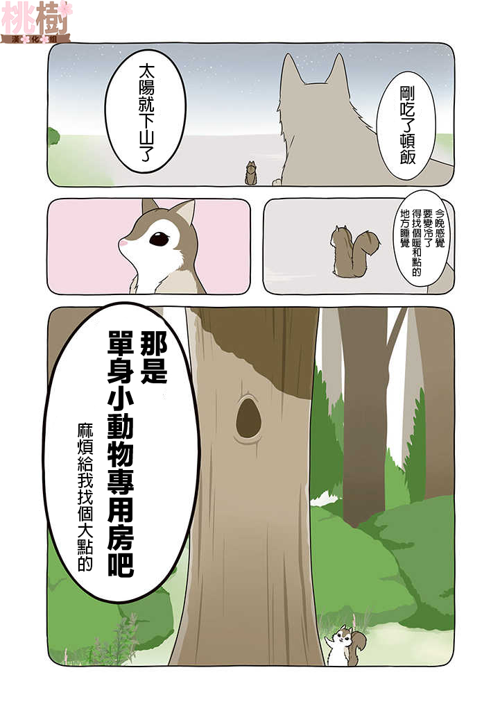 某日的郊狼和花栗鼠韩漫全集-第07话无删减无遮挡章节图片 