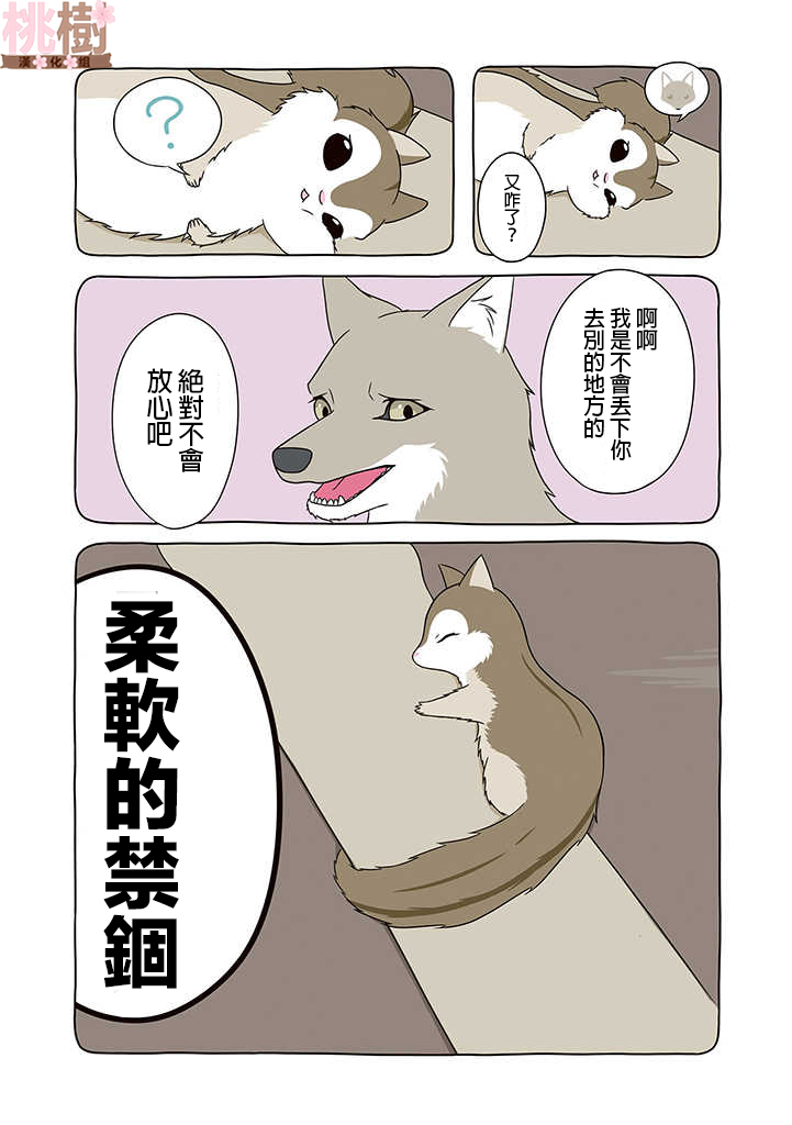 某日的郊狼和花栗鼠韩漫全集-第09话无删减无遮挡章节图片 