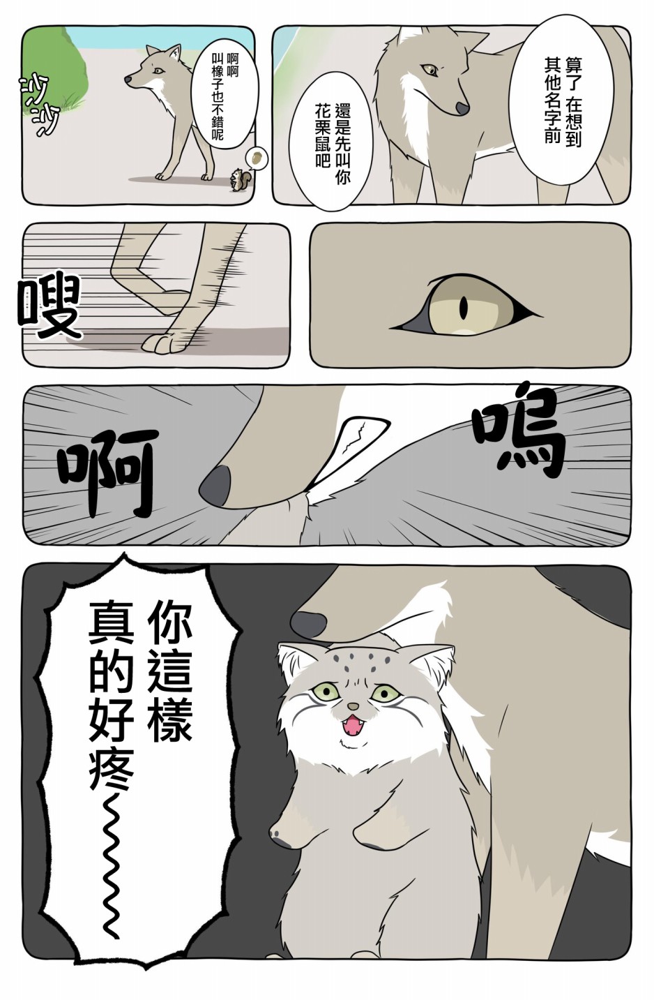 某日的郊狼和花栗鼠韩漫全集-第13话无删减无遮挡章节图片 