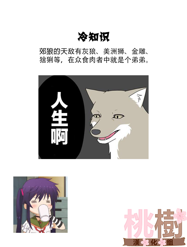 某日的郊狼和花栗鼠韩漫全集-第21话无删减无遮挡章节图片 