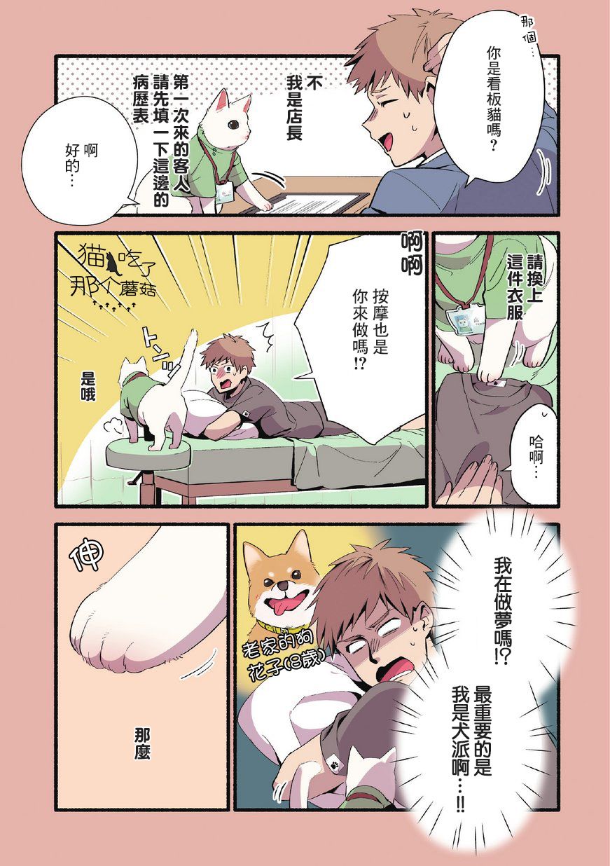 猫咪按摩师韩漫全集-第01话无删减无遮挡章节图片 
