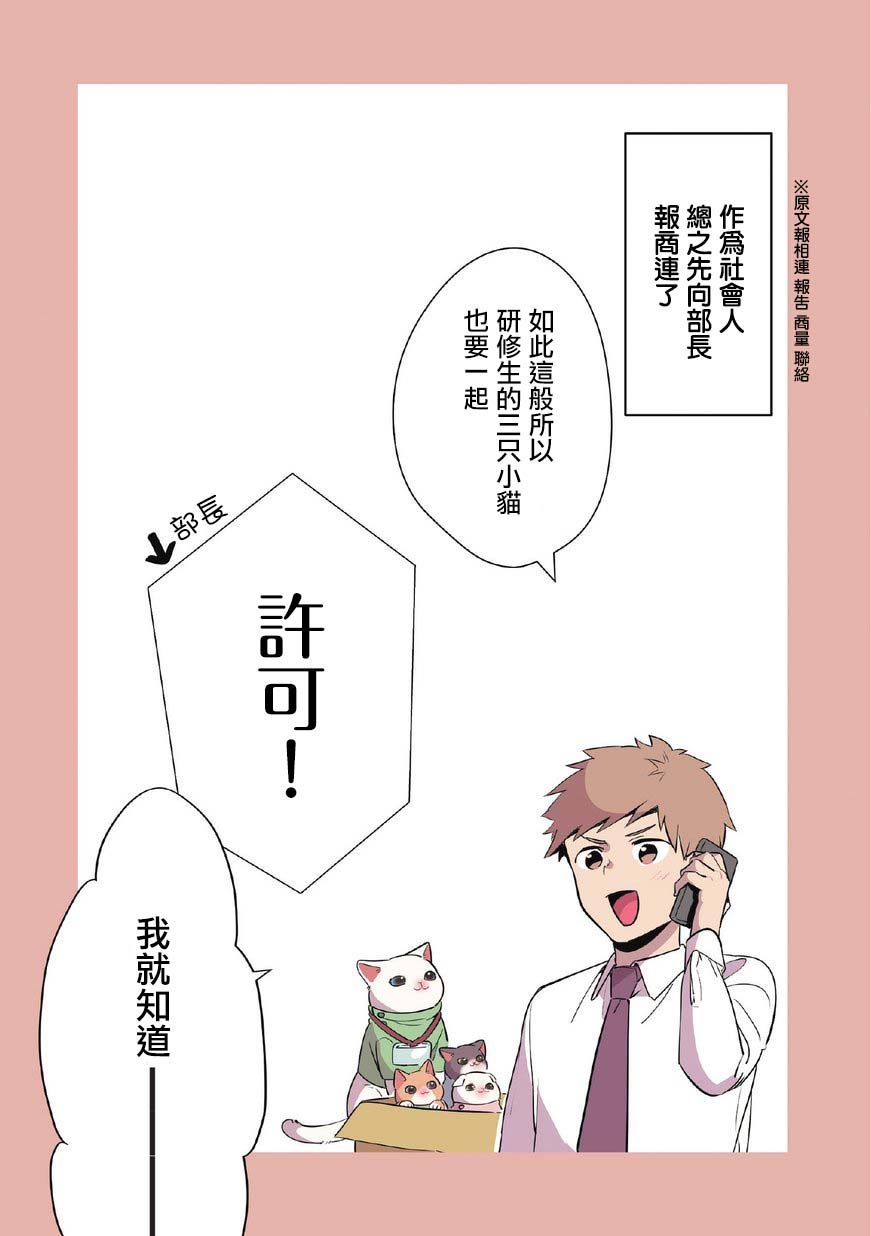 猫咪按摩师韩漫全集-第09话无删减无遮挡章节图片 
