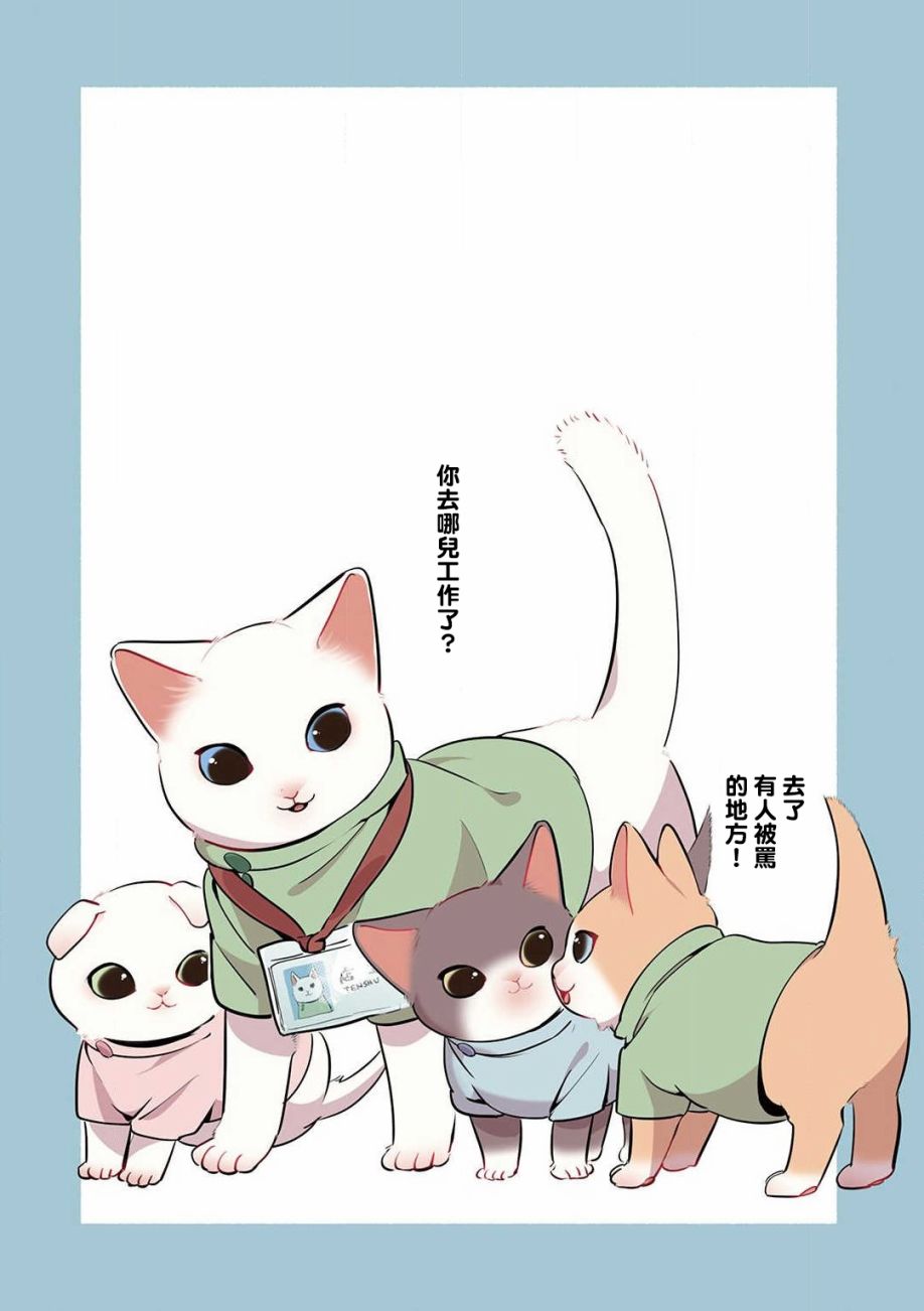 猫咪按摩师韩漫全集-第13话无删减无遮挡章节图片 