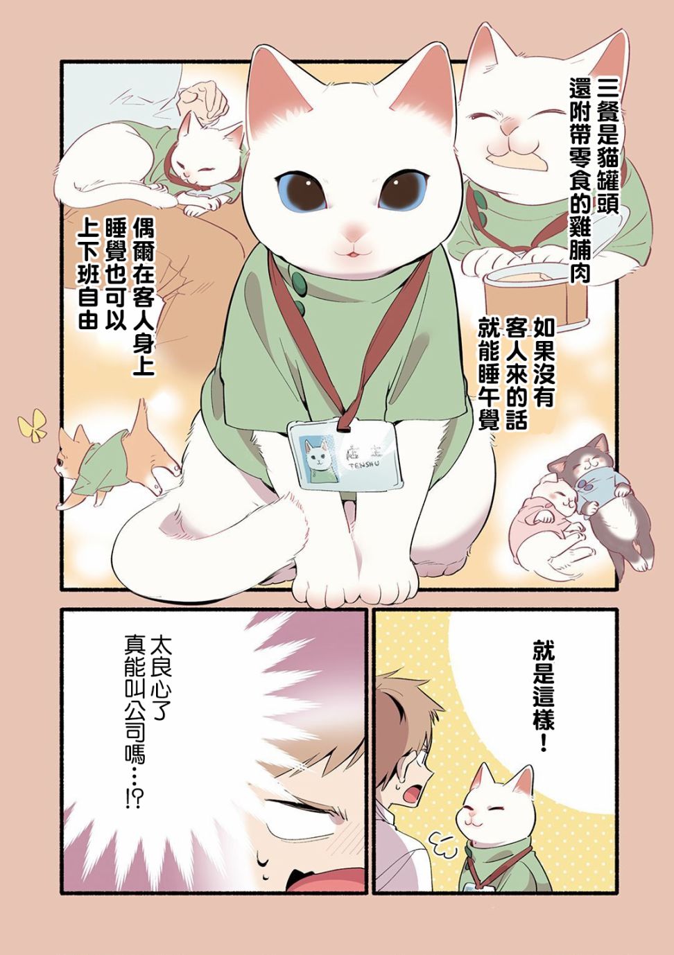 猫咪按摩师韩漫全集-第06话无删减无遮挡章节图片 