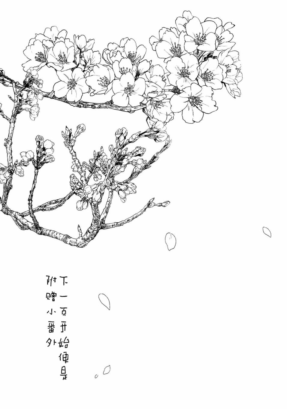 真奈美于我身侧韩漫全集-番外无删减无遮挡章节图片 