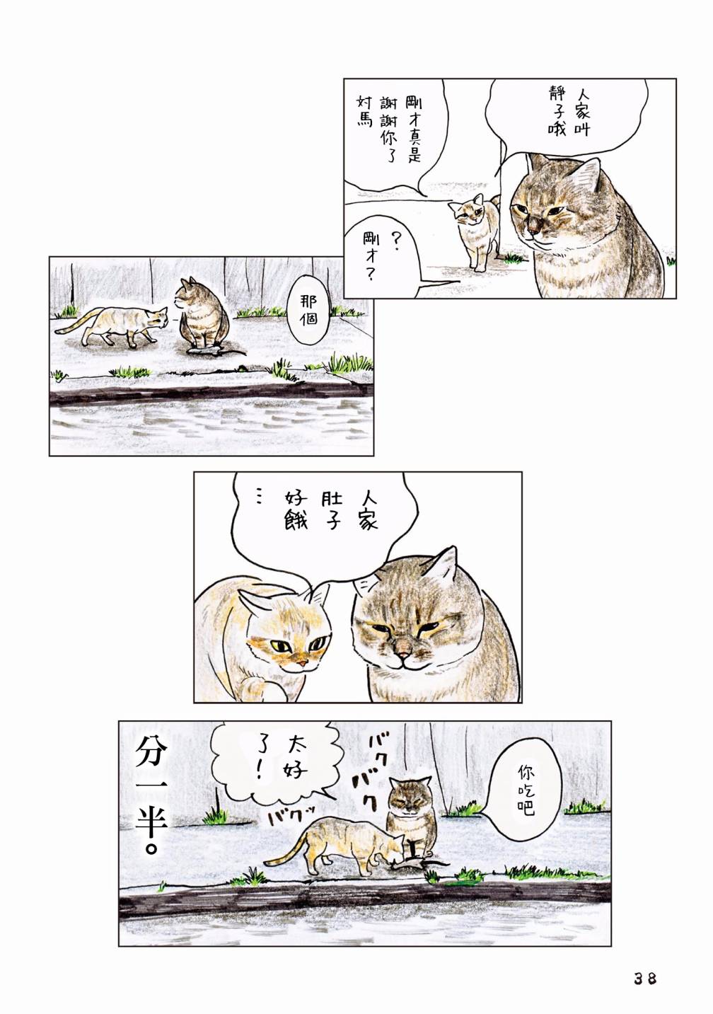 俺、对马韩漫全集-第55话无删减无遮挡章节图片 