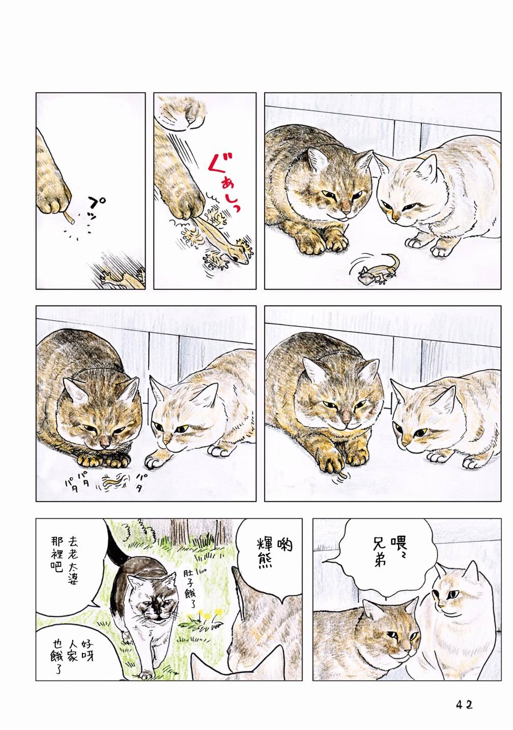 俺、对马韩漫全集-第55话无删减无遮挡章节图片 