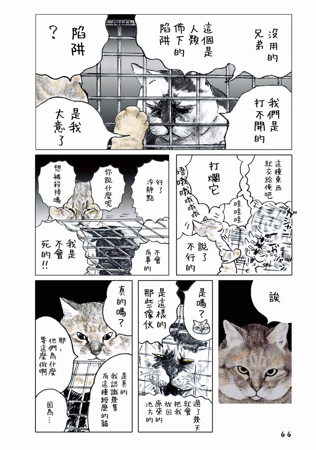 俺、对马韩漫全集-第55话无删减无遮挡章节图片 