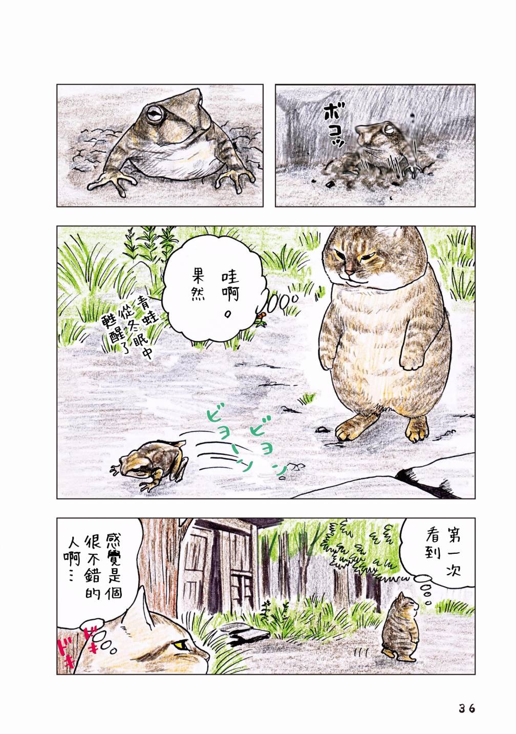 俺、对马韩漫全集-第55话无删减无遮挡章节图片 