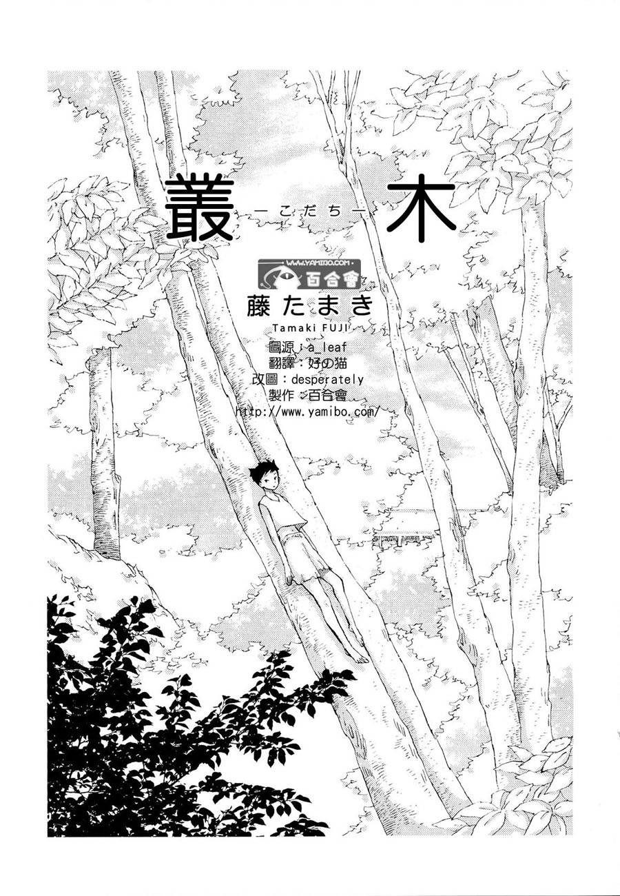 丛木韩漫全集-全一话无删减无遮挡章节图片 