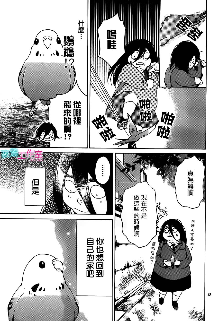 翱翔于天际的夜鹰韩漫全集-第01话无删减无遮挡章节图片 
