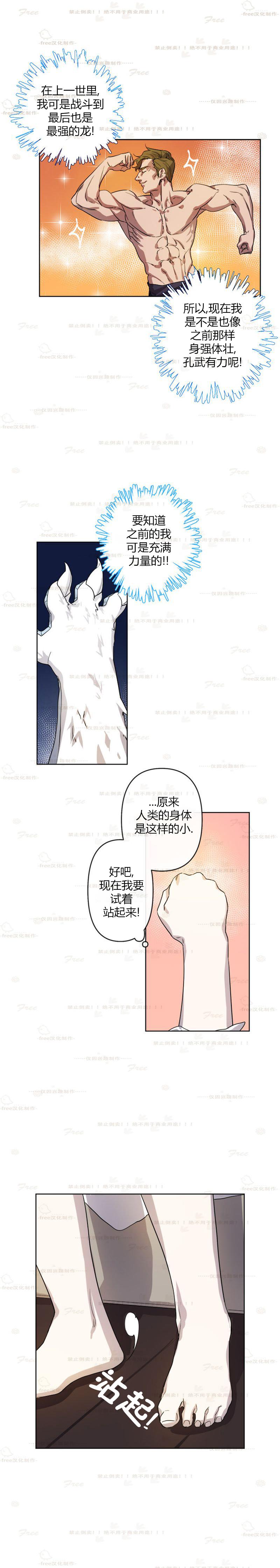 白龙皇妃韩漫全集-第01话无删减无遮挡章节图片 