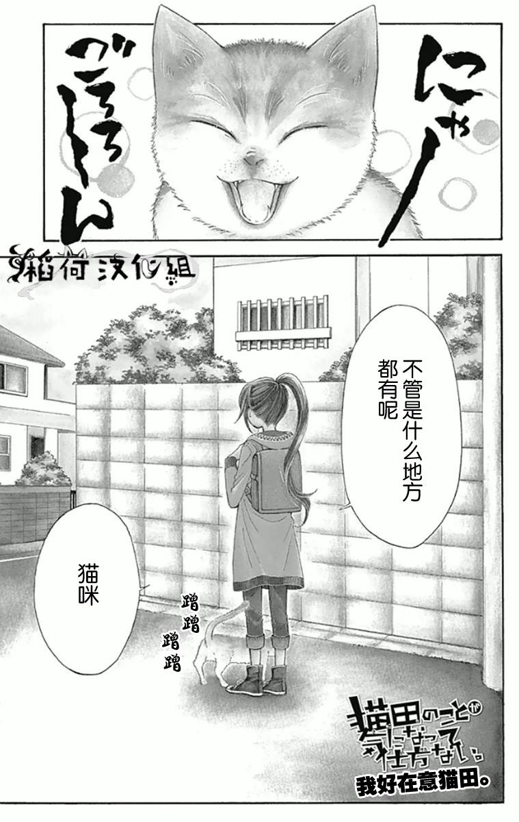 我好在意猫田。韩漫全集-第01话无删减无遮挡章节图片 