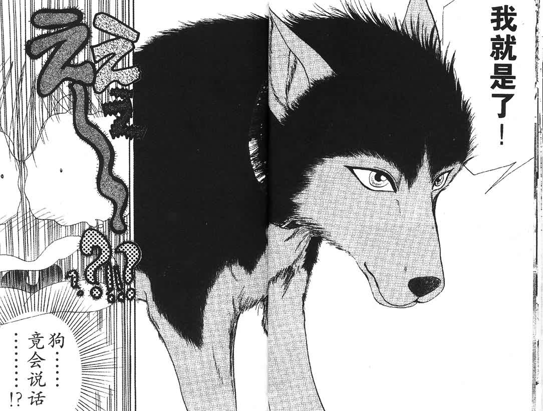 神犬阿西韩漫全集-第01卷无删减无遮挡章节图片 