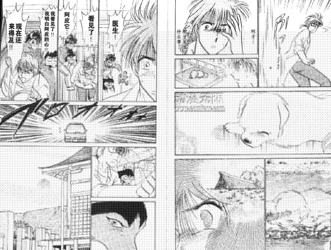 神犬阿西韩漫全集-第07卷无删减无遮挡章节图片 