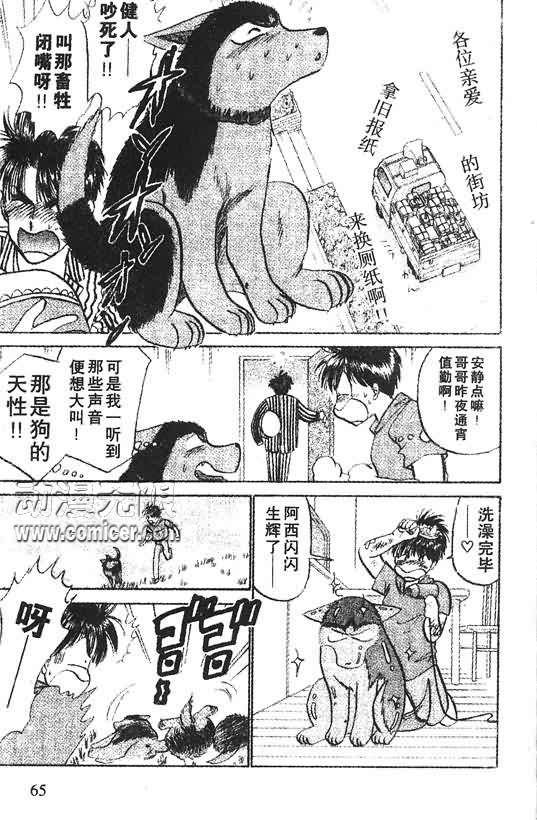 神犬阿西韩漫全集-第09卷无删减无遮挡章节图片 