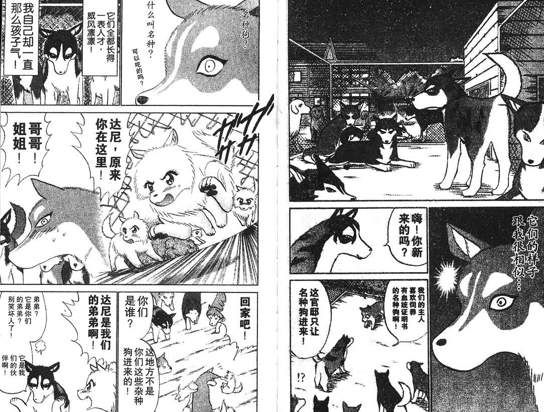 神犬阿西韩漫全集-第12卷无删减无遮挡章节图片 