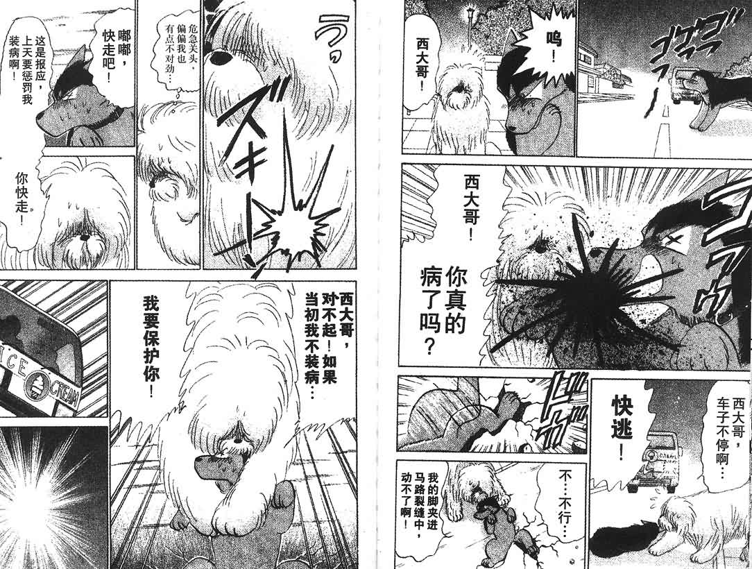 神犬阿西韩漫全集-第13卷无删减无遮挡章节图片 